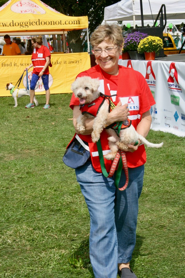 Adopt-a-Dog volunteer with her charge at Puttin' on the Dog.